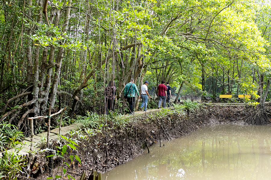 Can Gio Mangrove Forest