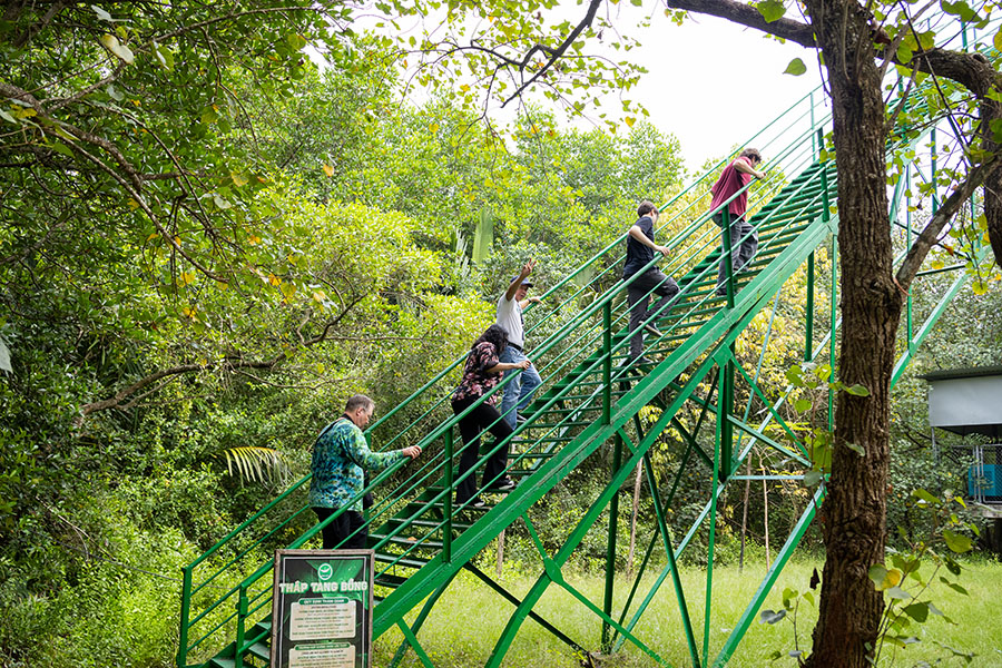Can Gio Mangrove Forest