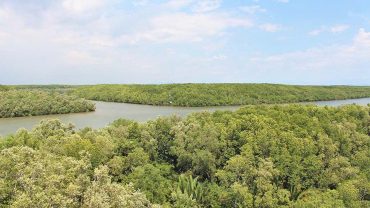 The Best Time to Visit Can Gio: Discover the Ideal Seasons for Your Trip