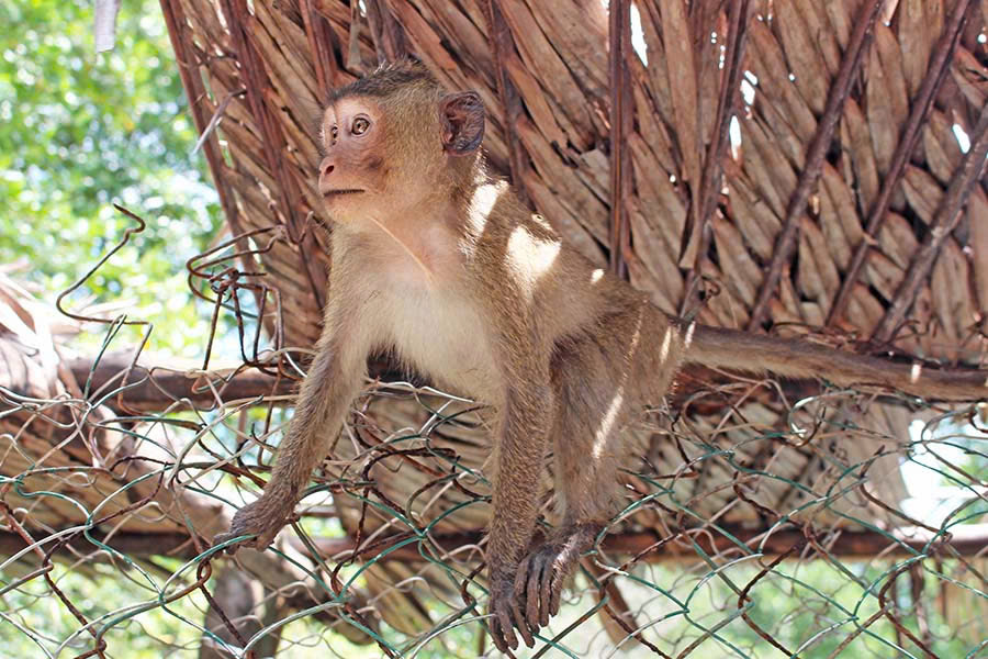 Saigon River Tour 12
