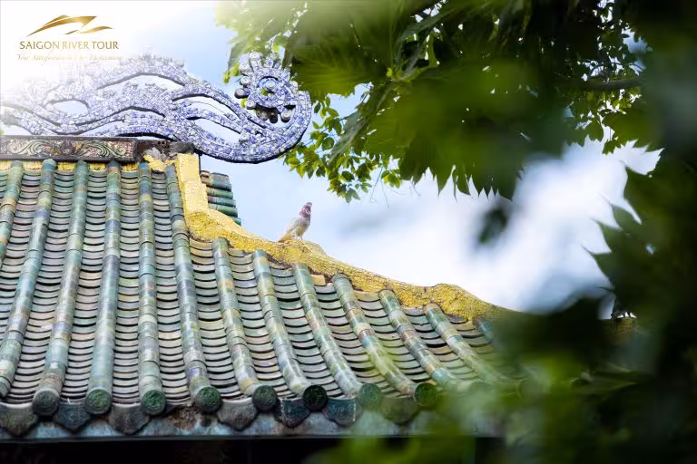 Dragon Floating Temple Sightseeing Luxury Speedboat